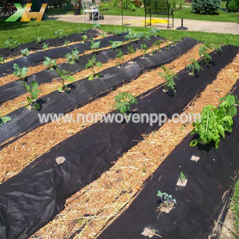 Agricultural Non Woven